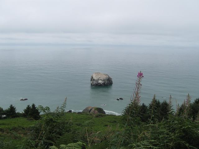 Bolan Mt & Redwoods-167.JPG - Coastal Drive